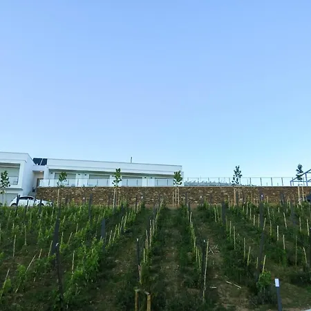 Nocleg ze śniadaniem Casa Miradouro Mesão Frio