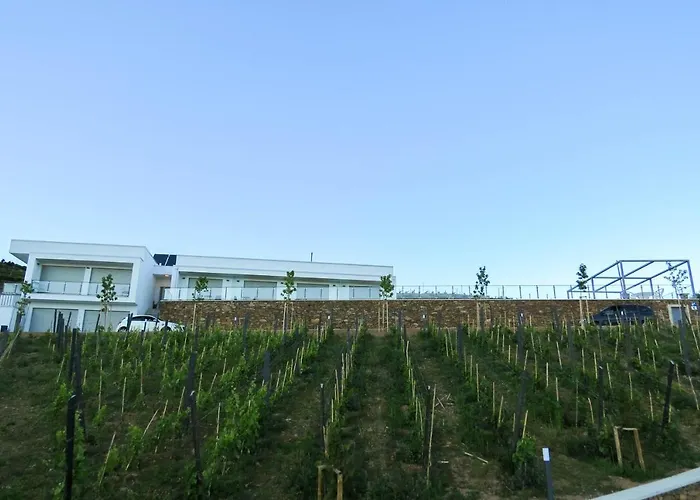 Bed and Breakfast Casa Miradouro Mesão Frio